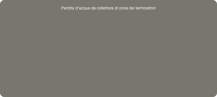 
Perdita d’acqua da collettore di zona dei termosifoni