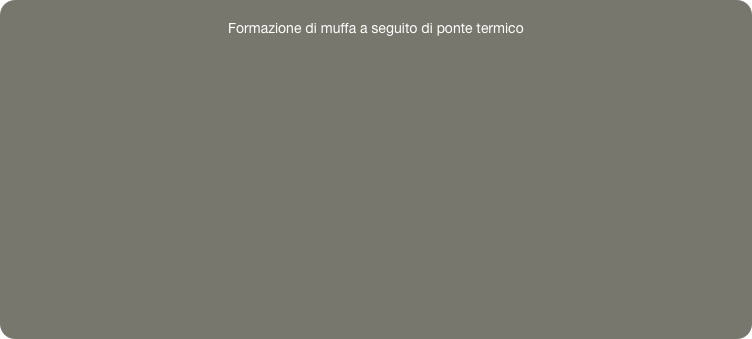 
Formazione di muffa a seguito di ponte termico 